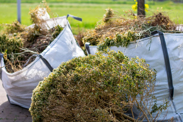 Best Property Management Cleanouts  in Hampton, AR